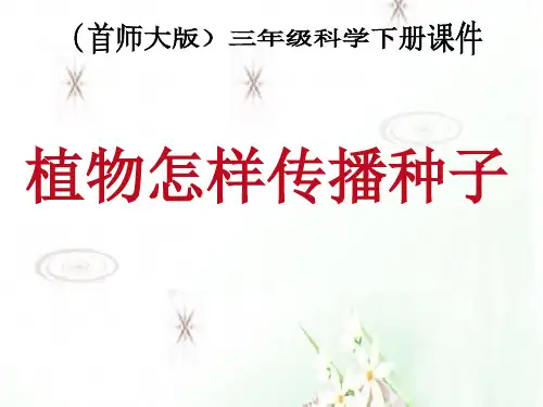三年级下 . 植物怎样传播种子 首师大版ppt