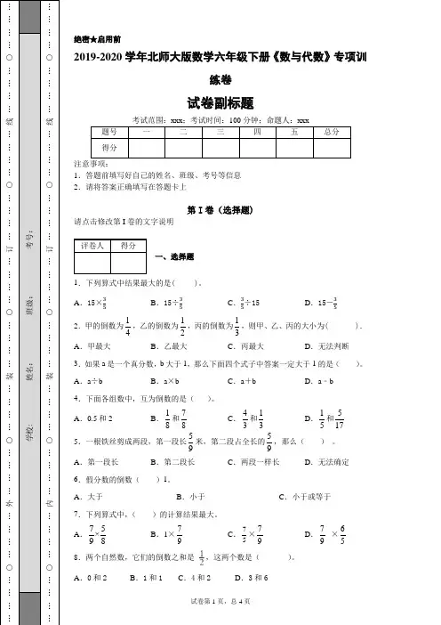 北师大版数学六年级下册《数与代数》专项训练卷