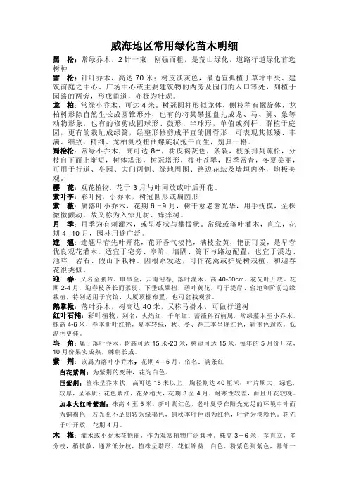 威海地区常用绿化苗木明细