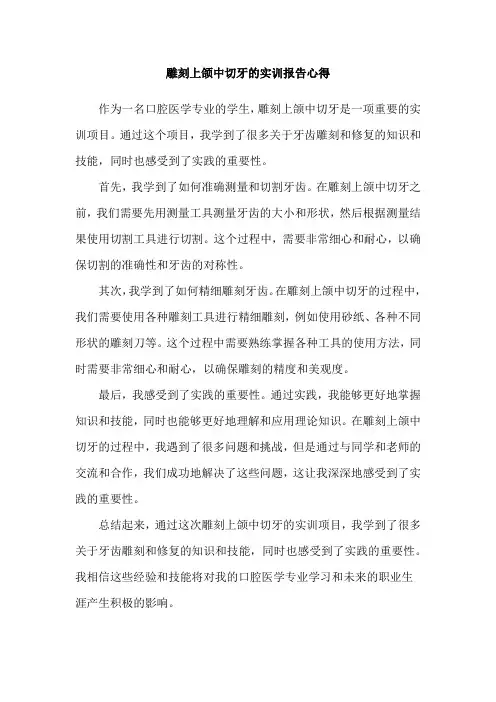 雕刻上颌中切牙的实训报告心得