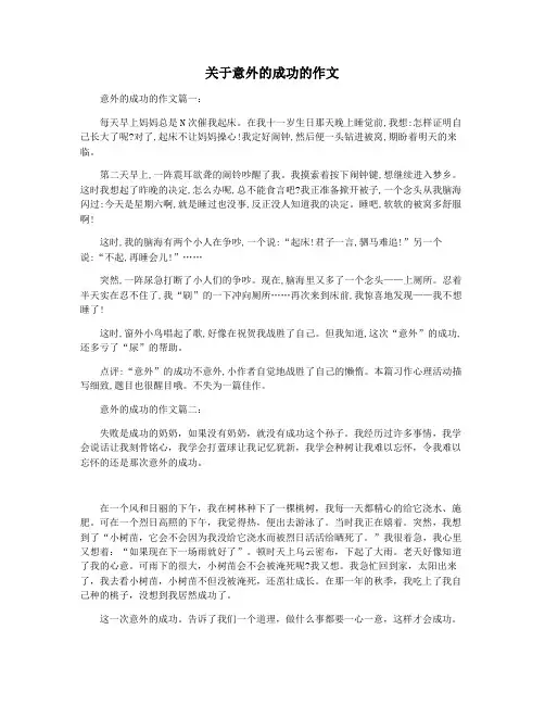 关于意外的成功的作文