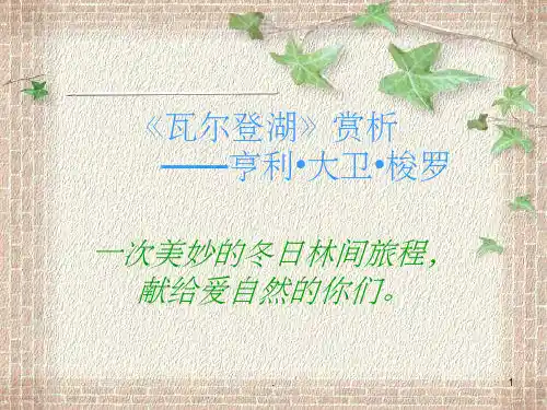 《瓦尔登湖》赏析PPT课件
