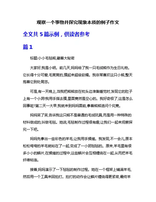 观察一个事物并探究现象本质的例子作文