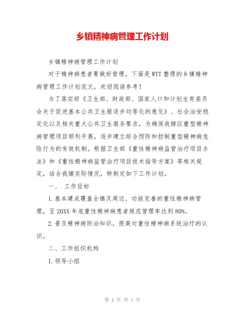 乡镇精神病管理工作计划