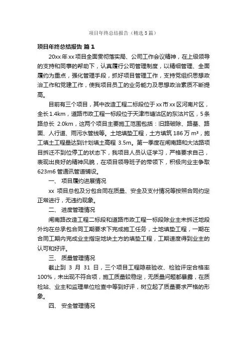 项目年终总结报告（精选5篇）