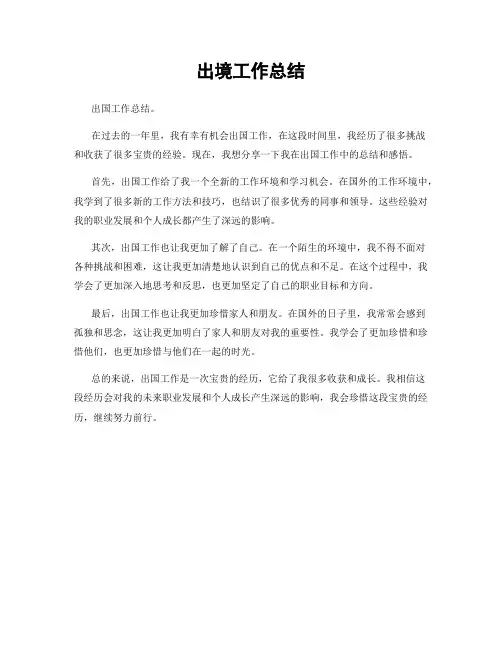 出境工作总结