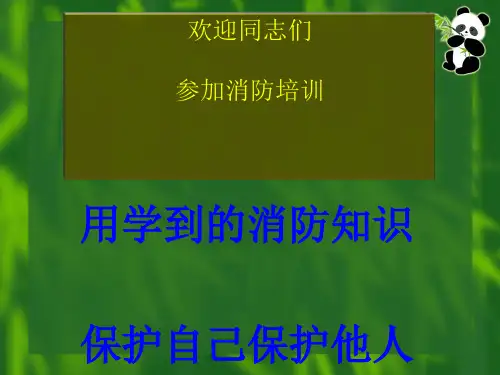 初期火灾扑救与人员安全疏散(PPT 50张)