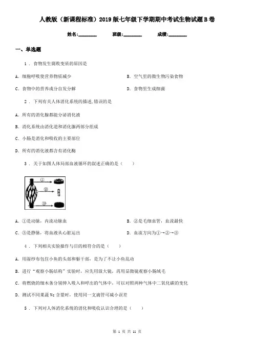 人教版(新课程标准)2019版七年级下学期期中考试生物试题B卷