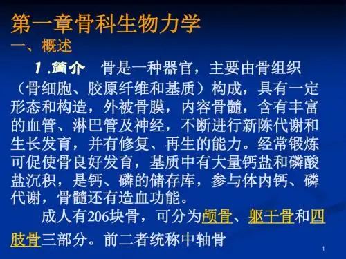 骨科生物力学
