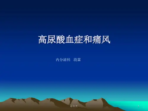 高尿酸血症和痛风指南(精制医学)