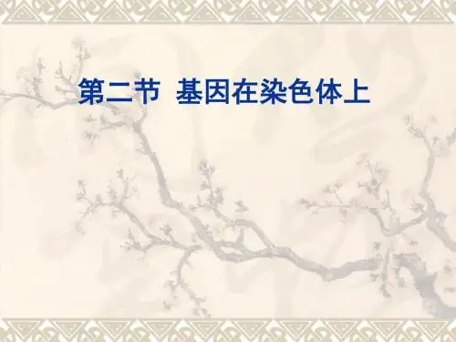 高中生物人教版《必修二 遗传与进化》2.2 基因在染色体上 课件(共34张PPT)