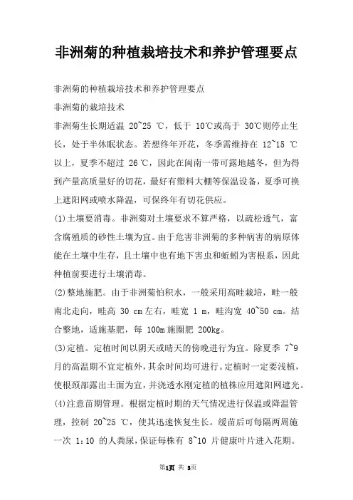 非洲菊的种植栽培技术和养护管理要点