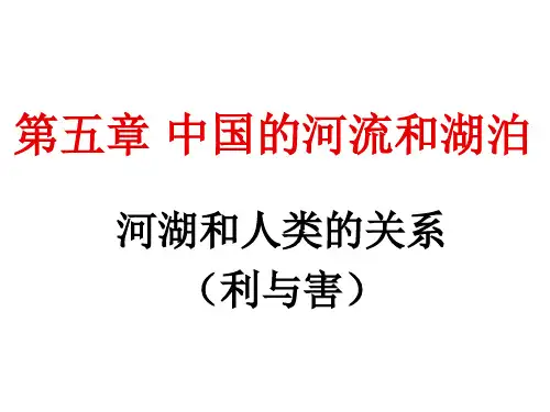 地理高二课件-中国的河流和湖泊 精品