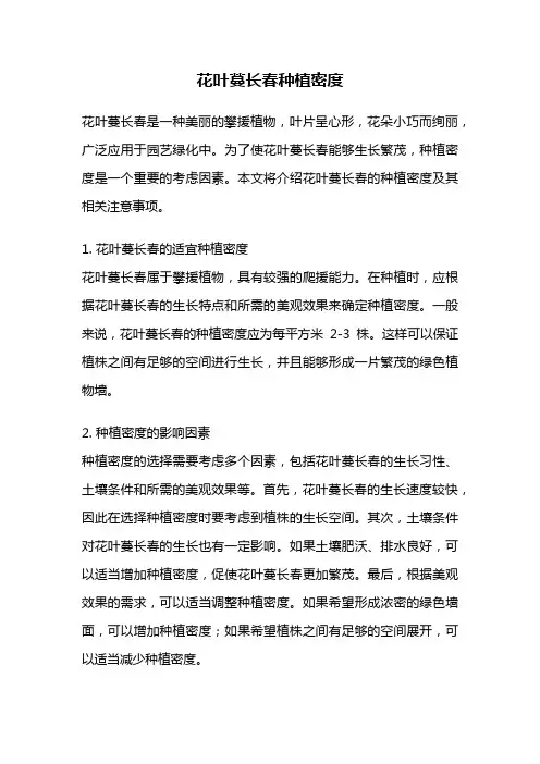 花叶蔓长春种植密度