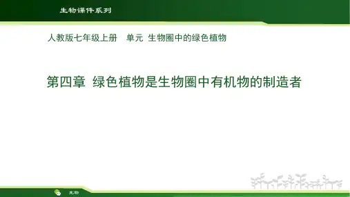人教版七年级生物绿色植物是生物圈中有机物的制造者课件