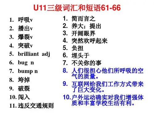维克多词汇11-20