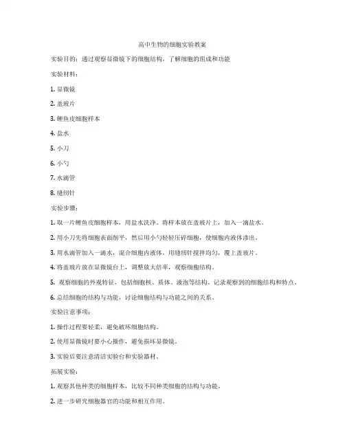 高中生物的细胞实验教案