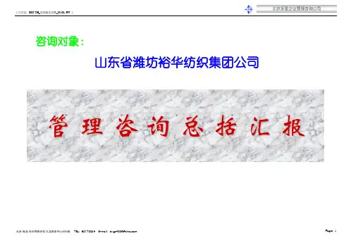 管理咨询总括汇报(PPT 68页)