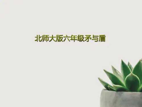 北师大版六年级矛与盾PPT共32页