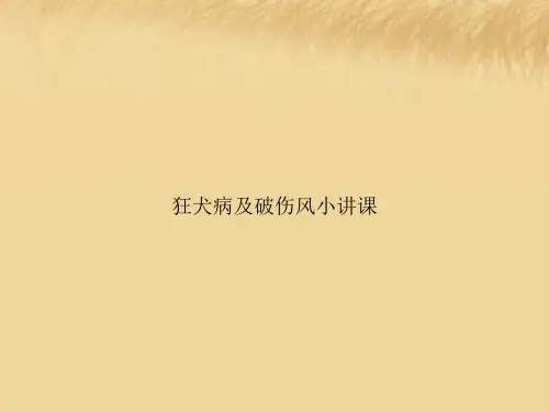狂犬病及破伤风小讲课