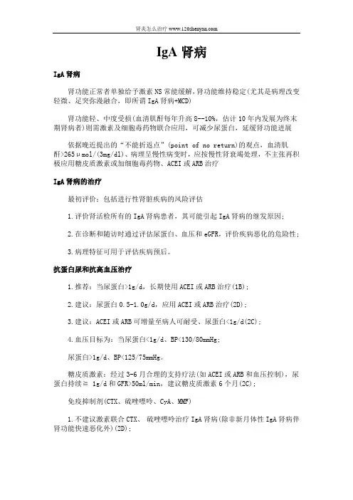 《IgA肾病》word版
