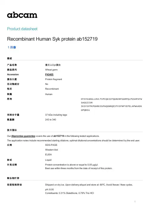 重组人Syk蛋白产品说明书