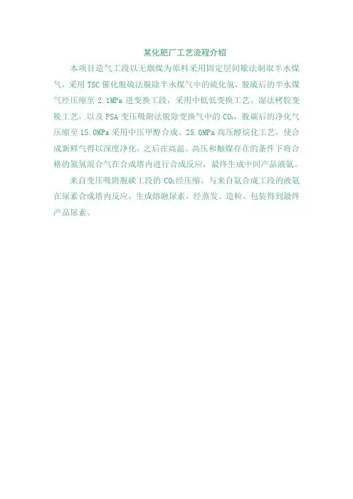 某化肥厂工艺流程介绍