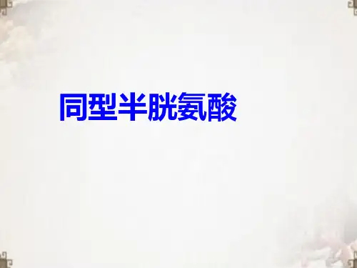 同型半胱氨酸