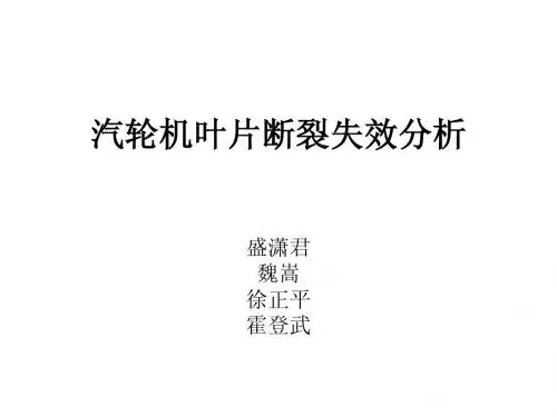 汽轮机叶片断裂分析