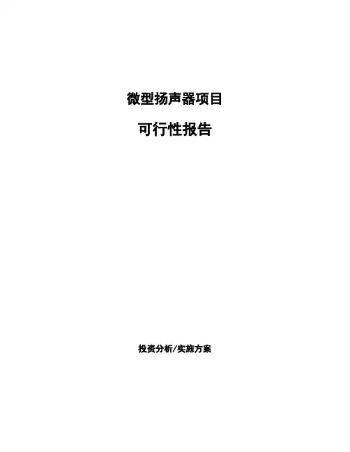 微型扬声器项目可行性报告