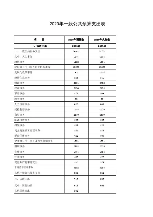 2020年一般公共预算支出表
