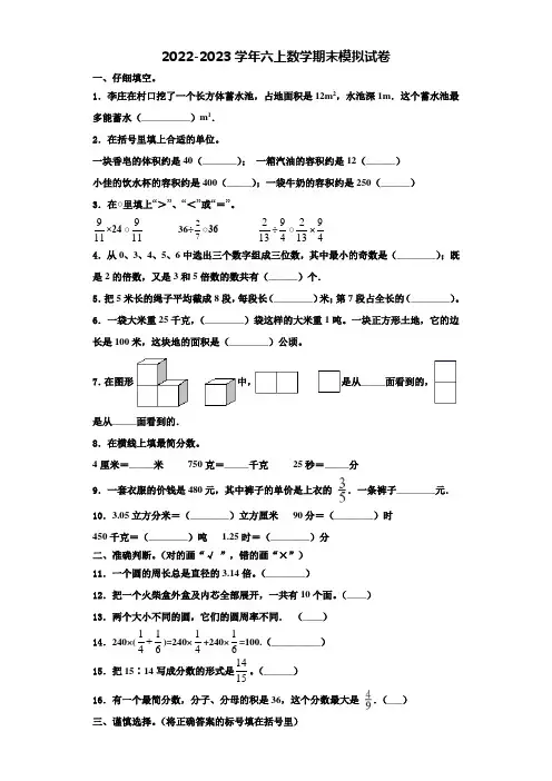 2023届上海市普陀区十二校联考数学六年级第一学期期末学业质量监测模拟试题含解析