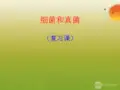 八年级生物上册 第四、五章 细菌真菌专题复习课件 人教新课标版