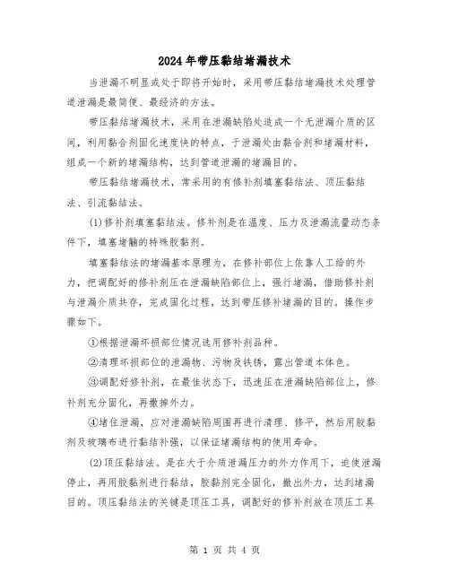 2024年带压黏结堵漏技术(2篇)