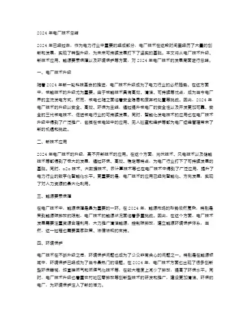 2024年电厂技术总结范文