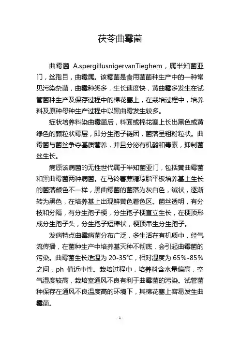 茯苓曲霉菌