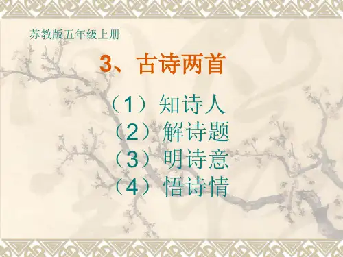 古诗两首(《寻隐者不遇》)