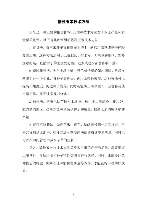 播种玉米技术方法