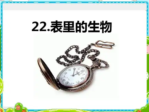 六年级上册语文课件-22 表里的生物｜语文S版 (共19张PPT)