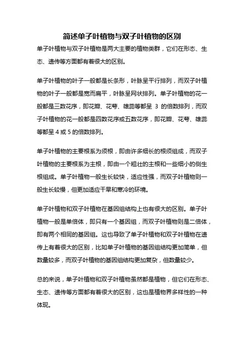 简述单子叶植物与双子叶植物的区别