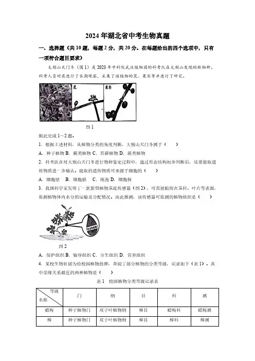 2024年湖北省中考生物真题(word版含答案)