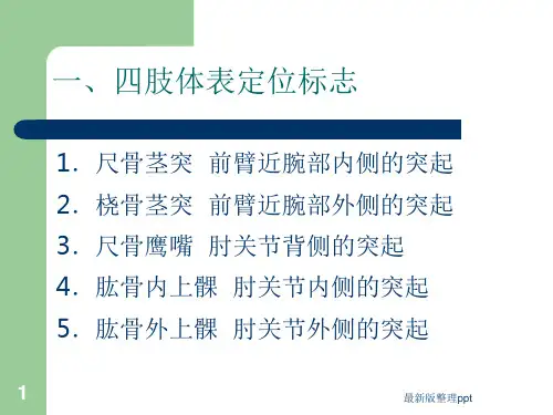 人体体表定位标志ppt课件