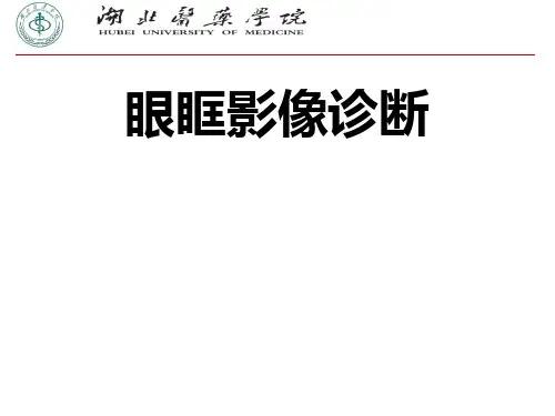 医学影像学：眼眶影像诊断