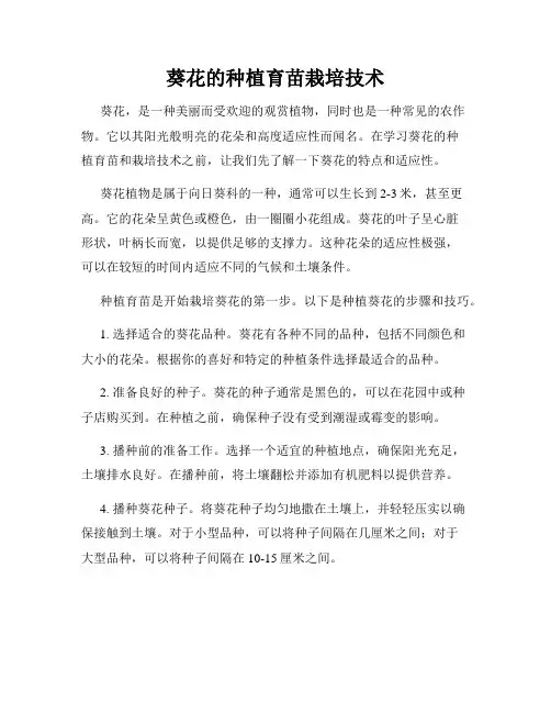 葵花的种植育苗栽培技术