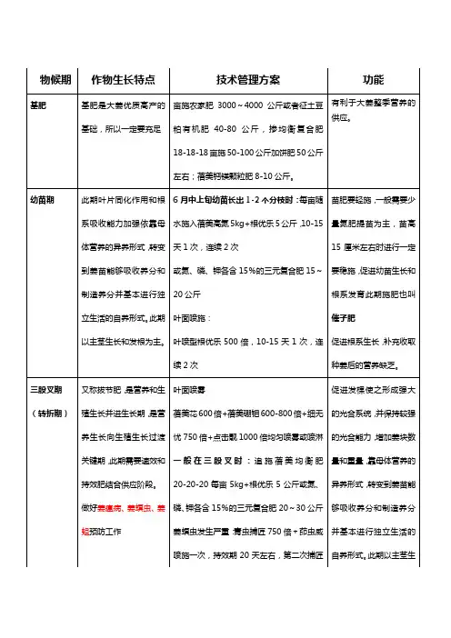 大姜高产种植管理技术