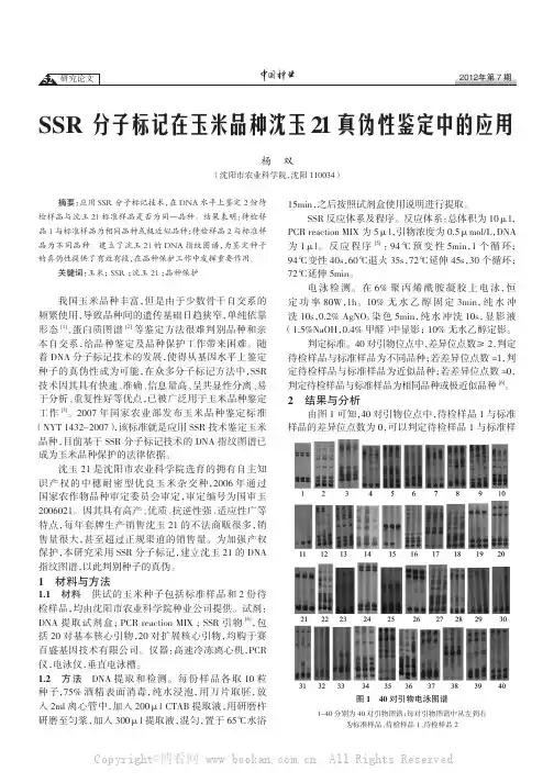 SSR分子标记在玉米品种沈玉21真伪性鉴定中的应用