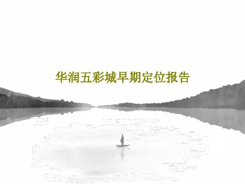华润五彩城早期定位报告66页PPT