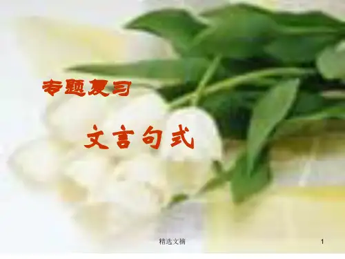 高考语文专题复习文言句式精选演示课件.ppt
