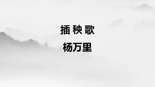 《插秧歌》ppt课件23张
