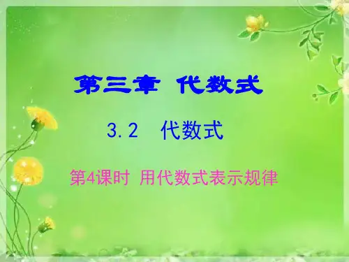 第三章代数式代数式第4课时课件冀教版数学七年级上册(共22张)